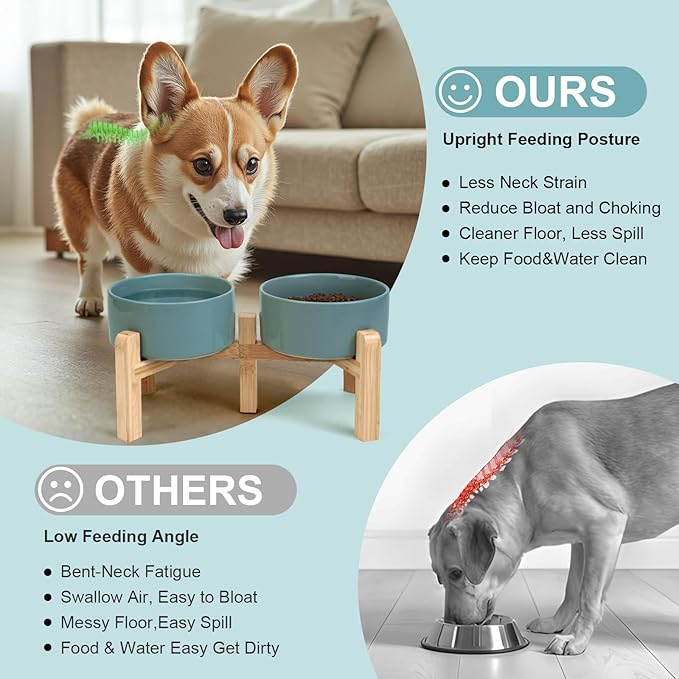 SPUNKYJUNKY Elevated Dog Bowls Ceramic, 6.1&