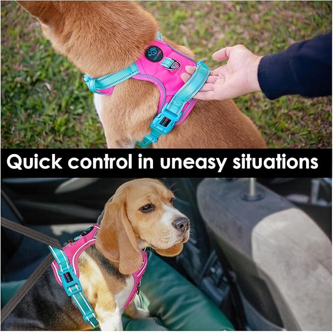 PHOEPET No Pull Dog Harness, Unique Colors Reflective Adjustable Dog Vest, with Soft Training Handle Metal Clips for Small Medium Large Dogs (Pink Base &amp; Green Straps,XL)