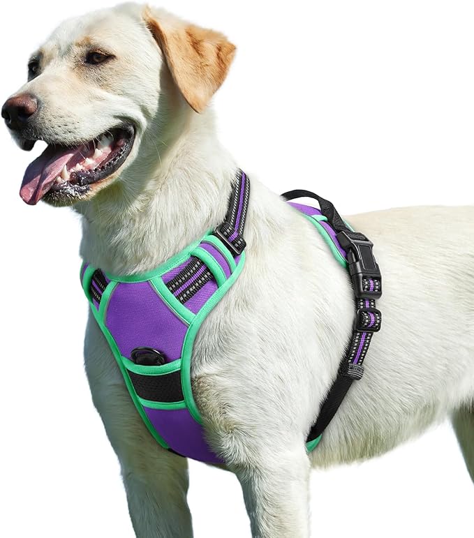 Eagloo Dog Harness for Large Dogs, No Pull Service Vest with Reflective Strips and Control Handle, Adjustable and Comfortable for Walking, No Choke Pet Harness with 2 Metal Rings, Purple &amp; Green, L