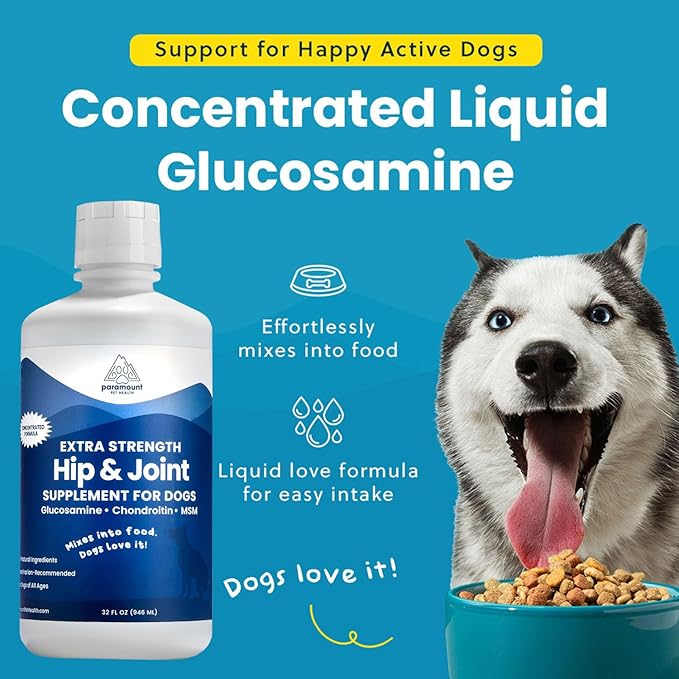 Concentrated Liquid Glucosamine for Large Dogs, Infused with MSM, 5200mg Chondroitin &amp; Glucosamine Liquid for Dogs Hip &amp; Joint Supplement for Mobility &amp; Comfort, 32 oz
