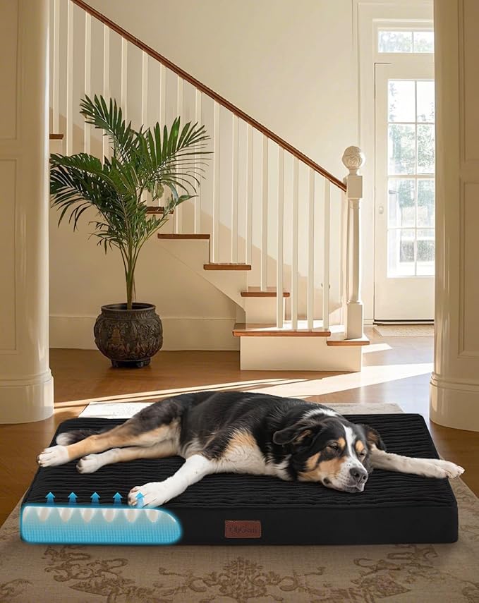 OhGeni Orthopedic Waterproof &amp; Machine Washable Dog Bed for Medium Large Pets, Suitable for Crates, 25D Egg Crate Foam, Non-Slip Bottom &amp; Removable Cover, Invisible Zipper, 35 Inches(Black)