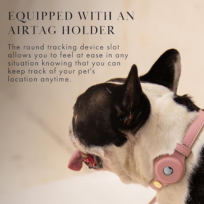 Cupertino Dog Collars, Harnesses &amp; Leashes Made from Vegan Leather with Dog Tracker Device Holder Adjustable Dog Collar (Extra Small (Neck: 9x12), Pink)