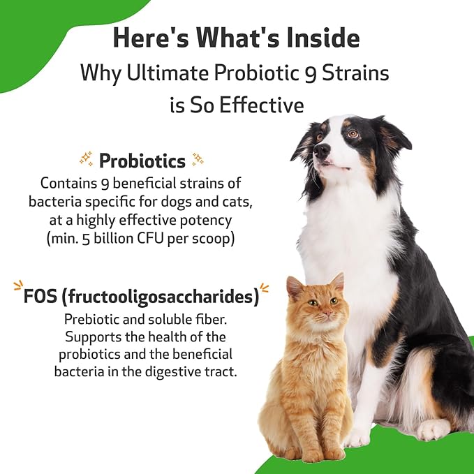 Pet Wellbeing Ultimate Probiotic 9 Strains for Dogs &amp; Cats - Supports The Gut Microbiome and Digestion, Immune System Care, Urinary Tract Health, FOS, 2.5 Billion CFU - 11.29 oz (320 g) Powder