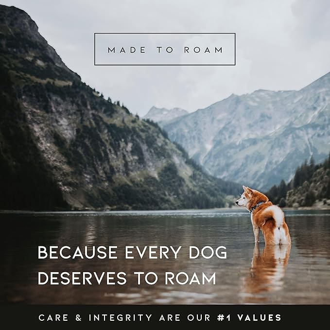 MADE TO ROAM Premium Explorer Harness - Y-Shaped Dog Harness with Adjustable Durable Nylon, Soft Padding, Metal Buckles and Leather Handle for Small, Medium, Large Dogs (California Horizon, Size 1)