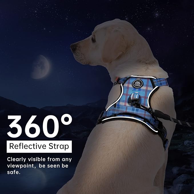IVY&amp;LANE No Pull Dog Harness with Leash Set, Reflective No Choke Pet Vest,Adjustable Oxford Dog Vest Harness with Easy Control Handle for Medium Lagre Dogs (Checkered Blue,M)