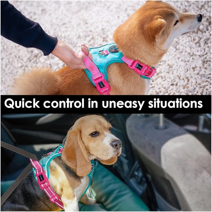 PHOEPET No Pull Dog Harness, Unique Colors Reflective Adjustable Dog Vest, with Soft Training Handle Metal Clips for Small Medium Large Dogs (Mint Green Base &amp; Pink Straps,XS)