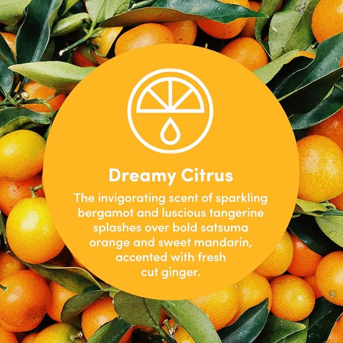 Clean Revolution Multi Surface Cleaner Refill Supply, Non-Toxic, Eco-Friendly &amp; Plant-Based, Ready to Use, Dreamy Citrus, 128 Fl Oz (1 Gallon)