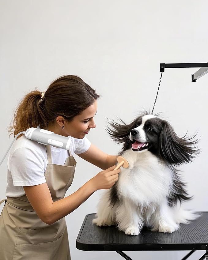 L&amp;W BROS. Hands-Free Dog Dryer – Powerful &amp; Professional Pet Blow Dryer for Small &amp; Medium Dogs &amp; Cats, Adjustable Airflow, Easy Storage, Negative Ion Technology (Gray)