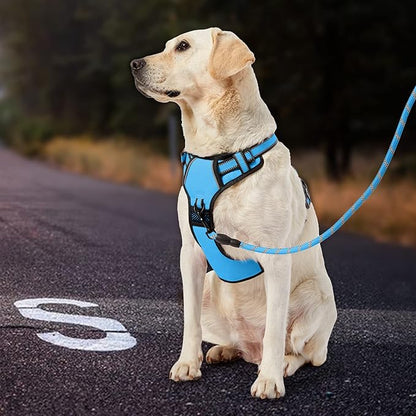 IVY&amp;LANE No Pull Dog Harness for Medium Dogs, Dog Vest Harness with Leash, Safety Belt and Storage Strap, Fully Adjustable, 360 Reflective Strip, Soft Handle (Blue, M)