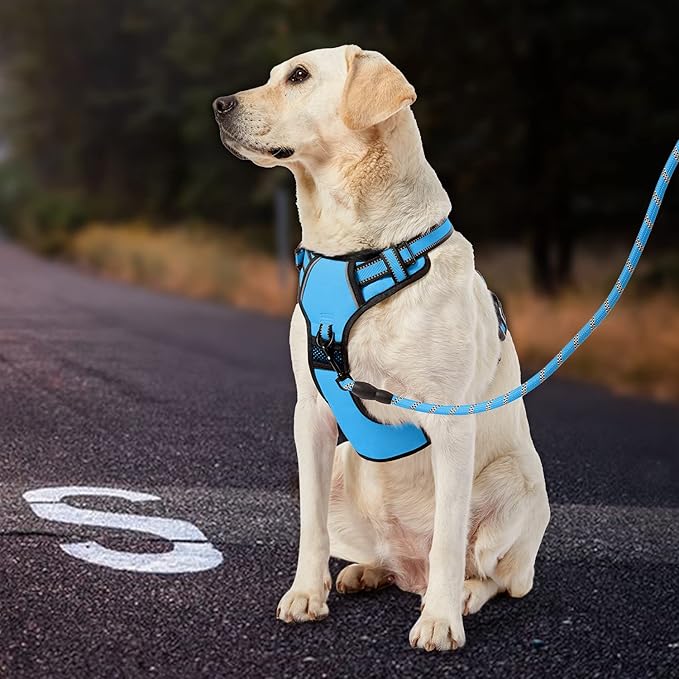 IVY&amp;LANE No Pull Dog Harness for Large Dogs, Dog Vest Harness with Leash, Safety Belt and Storage Strap, Fully Adjustable Harness, 360° Reflective Strip, Soft Handle (Blue,XL)