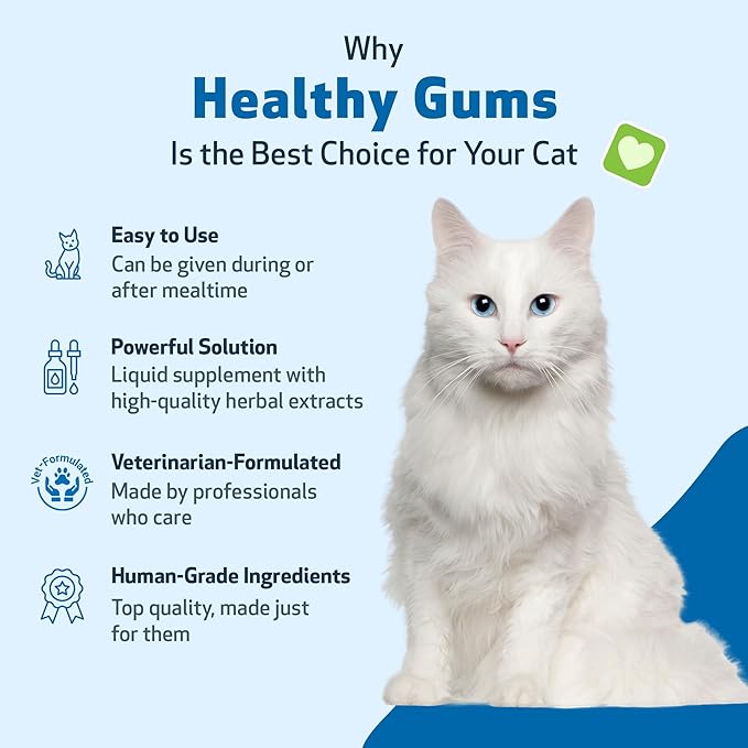 Pet Wellbeing Healthy Gums for Cats - Gums &amp; Dental Health, Oral Care, Healthy Breath, Coenzyme Q10, Zinc Oxide, Calendula, Marshmallow Root - Veterinarian-Formulated Holistic Topical 4 oz (118 ml)