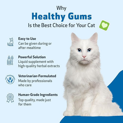 Pet Wellbeing Healthy Gums for Cats - Gums &amp; Dental Health, Oral Care, Healthy Breath, Coenzyme Q10, Zinc Oxide, Calendula, Marshmallow Root - Veterinarian-Formulated Holistic Topical 4 oz (118 ml)