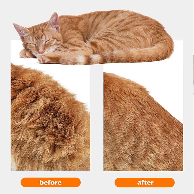 Cat Steam Brushes for Shedding, 4 in 1 Rechargeable Steam Cat Brush for Indoor Cats &amp; Dogs, Grooming Comb with Spray