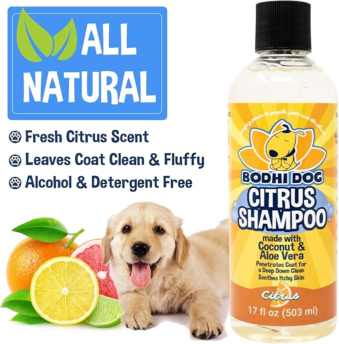Bodhi Dog Refreshing Orange Citrus Shampoo - Deep Cleaning Coconut &amp; Aloe Formula - Natural Soothing, Moisturizing Pet Wash for Dogs, Cats, Puppies - Tear-Free (17 Fl Oz)