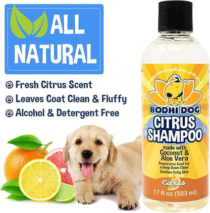 Bodhi Dog Refreshing Orange Citrus Shampoo - Deep Cleaning Coconut &amp; Aloe Formula - Natural Soothing, Moisturizing Pet Wash for Dogs, Cats, Puppies - Tear-Free (17 Fl Oz)