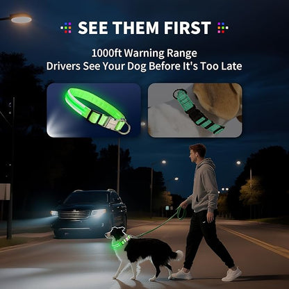 LED Dog Collar with Metal Buckle - USB Rechargeable Glow Collar for Dogs, Waterproof Light Up Dog Collar w/Reflective Strips - Adjustable Night Safety Collars by PetIsay(Pink,Large)