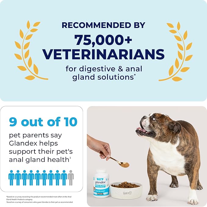 Glandex Dog Fiber Supplement Powder for Anal Glands with Pumpkin, Digestive Enzymes &amp; Probiotics - Vet Recommended (Regular or Advanced Strength) - Boot The Scoot (5.5 oz, Vegan Salmon)