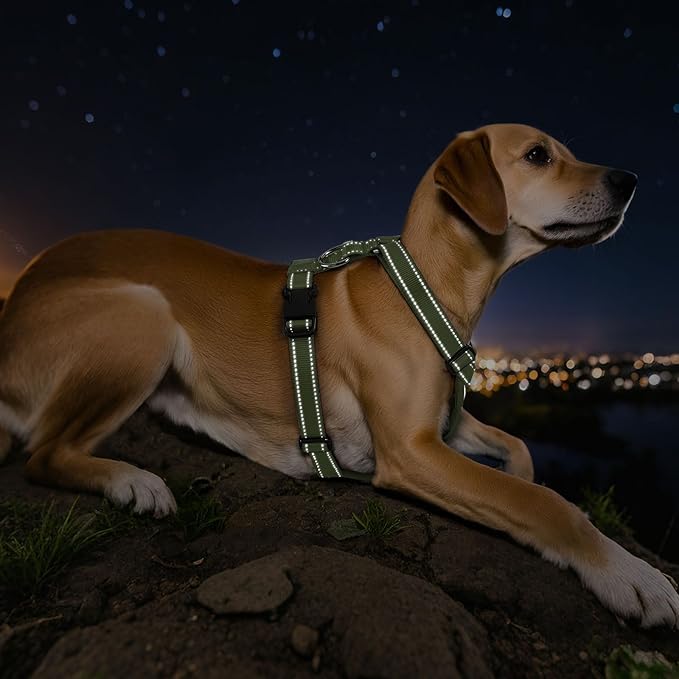 Dog Seat Belt Harness for Car, Dog Car Harness Adjustable Mesh Breathable &amp; Dogs Seatbelt Safety Tether with Elastic Bungee for Small Medium Large Pets(Army Green, L)