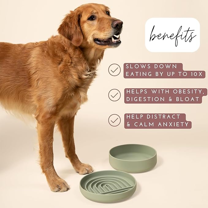 The Slowdown Bowl Silicone Slow Feeder for Dogs &amp; Puppies, Slow Eating, Modern Lick Mat Design, Reduces Gulping, Fits 2.5 Cups 9.5” Across x 1.5” Tall, Mealtime Challenge, Large-Blush