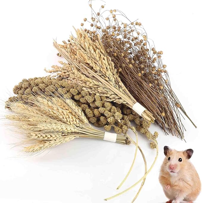 Hamster Spray Set - Natural Snack Grains &amp; Chew Toys for Cage Decoration Accessories, Soft Bedding for Dwarf Syrian Hamsters, Gerbils, Mice &amp; Small Pets
