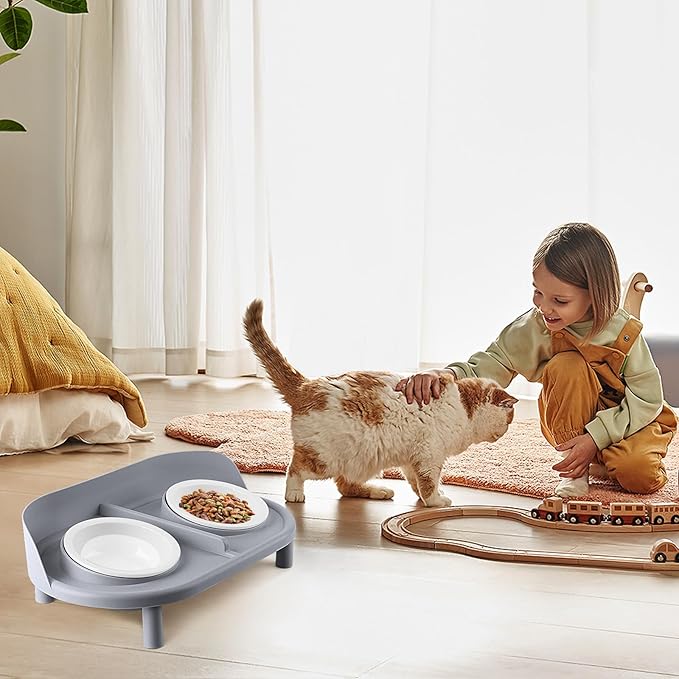 Elevated Cat Bowls, Tilted Rised Cat Food and Water Bowl with 2 Pcs Ceramic Pet Bowls, Rised Stand, Pet Dish Anti Vomiting Feeding Station for All Sized Cats &amp; Small Dogs (Grey)