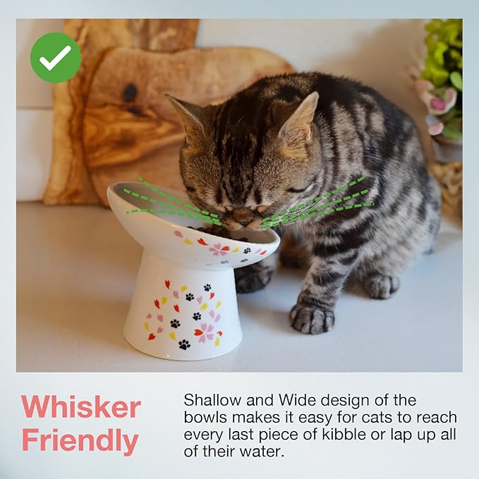 Necoichi Extra Wide Raised Cat Food Bowl, Elevated Cat Bowls to Prevent Neck &amp; Whisker Fatigue, Dishwasher and Microwave Safe, No.1 Seller in Japan! (Sakura Limited Edition, Extra Wide Tilted)