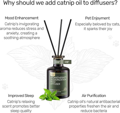 Reed Diffuser for Pet Odor Elimination, Berry Rum, Non-Toxic &amp; Pet-Friendly Air Freshening, 6 Oz