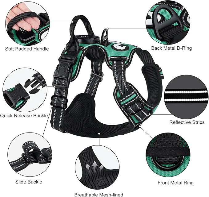 Taglory Light Up Dog Harness, Rechargeable No Pull Dog Vest with 3 Lightning Modes, Reflective Dog Harness with 2 Leash Clips &amp; 4 Adjustable Slide Strips for Large Dogs, Turquoise-Green, L