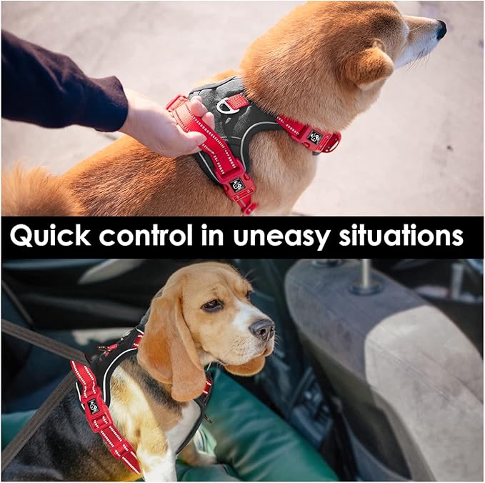 PHOEPET No Pull Dog Harness, Unique Colors Reflective Adjustable Dog Vest, with Soft Training Handle Metal Clips for Small Medium Large Dogs (Black Base &amp; Red Straps,XL)