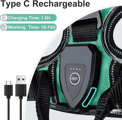 Taglory Light Up Dog Harness, Rechargeable No Pull Dog Vest with 3 Lightning Modes, Reflective Dog Harness with 2 Leash Clips &amp; 4 Adjustable Slide Strips for Large Dogs, Turquoise-Green, L