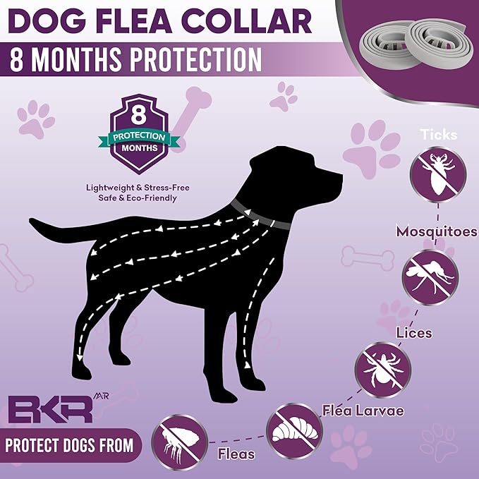 Flea Collar for Dogs – 2 Pack 16 Month Natural Flea &amp; Tick Prevention Dog Flea Collar Adjustable One Size Fits All, Safe and Effective