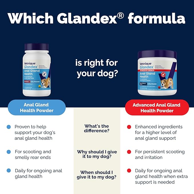 Glandex Dog Fiber Supplement Powder for Anal Glands with Pumpkin, Digestive Enzymes &amp; Probiotics - Vet Recommended (Regular or Advanced Strength) - Boot The Scoot (5.5oz Powder, Beef Liver)
