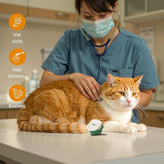 Cat Calming Diffuser for Travel – Pheromone Diffuser for Cats &amp; Kittens to Reduce Anxiety and Stress-Related Behaviors, No Electricity Needed, Long-Lasting Enhanced Calming Aid (1 Pack)