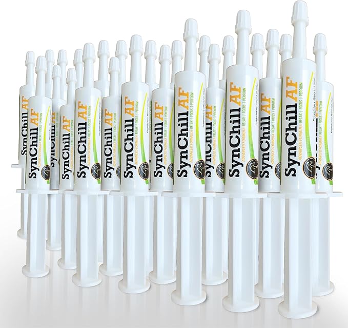 SynChill AF Calming Gel for Nervous Horses - Single Serving - Advanced Formula with L-Theanine, Increased Potency, 100% Natural Supplement, Disposition &amp; Confidence Support for Horses - 25 Pack