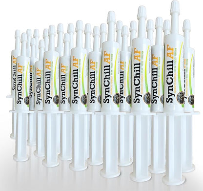 SynChill AF Calming Gel for Nervous Horses - Single Serving - Advanced Formula with L-Theanine, Increased Potency, 100% Natural Supplement, Disposition &amp; Confidence Support for Horses - 25 Pack