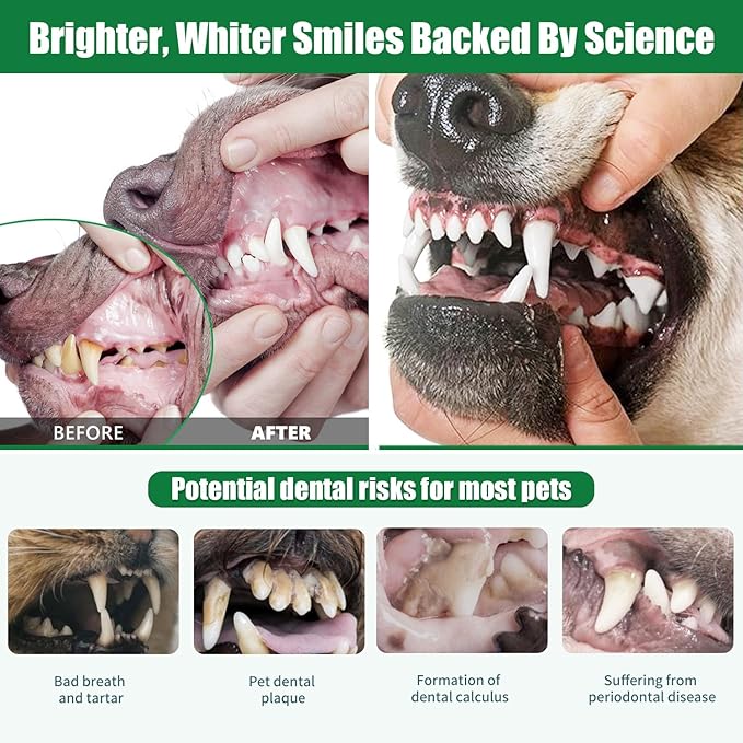 Dog Dental Powder - Dog Teeth Cleaning Powder,Pet Breath Freshener for Teeth Cleaning,Tartar Remover &amp; Reduces Plaque &amp; Bad Breath,Dental Care Supplies for Dogs Cat-Beef Flavor 50g