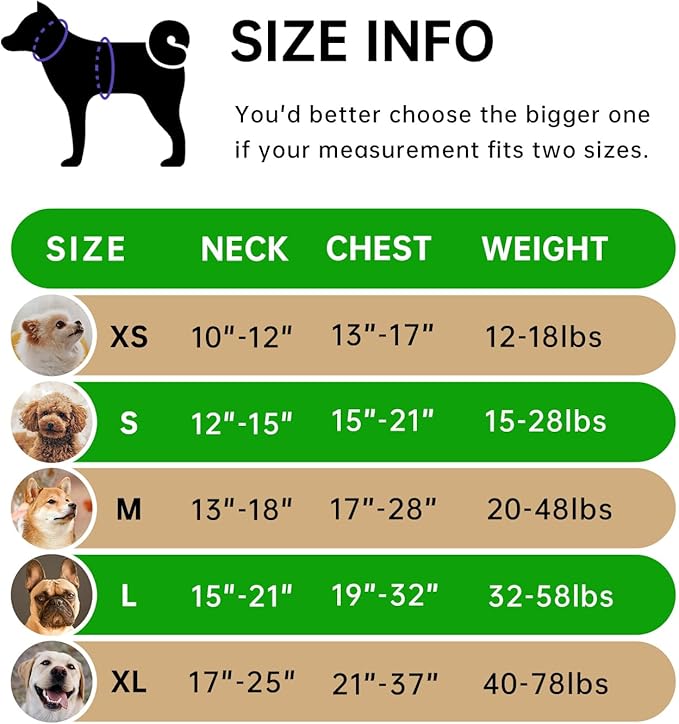 IVY&amp;LANE No Pull Dog Harness for Small Dogs, Dog Vest Harness with Leash, Safety Belt and Storage Strap, Fully Adjustable Harness, 360° Reflective Strip, Soft Handle (Green,S)
