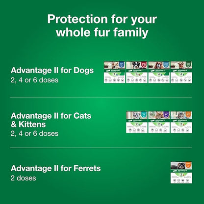 Advantage II Small Cat Vet-Recommended Flea Treatment &amp; Prevention | Cats 5-9 lbs. | 8-Month Supply