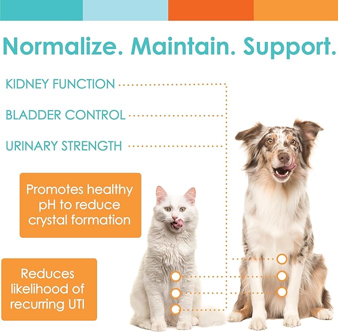 UTRIN - Urinary Support for Cats &amp; Dogs - Dual-Action Cranberry &amp; D-Mannose - for Natural Bladder Health, Incontinence, and Recurring UTI, 60 Servings