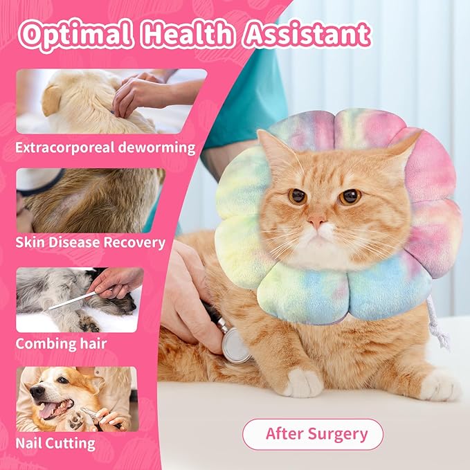 Dog Cat Surgical Recovery Cone Dog Protective Collar, Pet Recovery E-Collar Soft Neck Cone to Stop Licking Wound for Cats &amp; Kittens Small Dog After Surgery