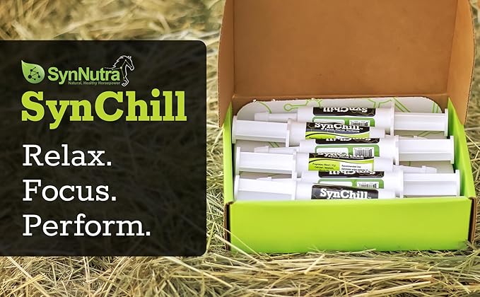SynChill Oral Horse Calming Gel, 100% Natural &amp; Nutritional Supplement, Lab Proven Results, Designed for Focus &amp; Performance, Approved by Olympic Professionals &amp; Veterinarians, Made in USA - 25-Pack