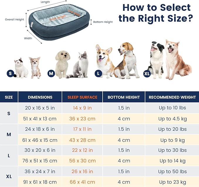 Orthopedic Cat Beds for Indoor Cats, Egg-Crate Memory Foam Pet Sofa with Bolster Sides, Oval Crate Bed, Washable Removable Cover &amp; Non-Slip Bottom, Haze Blue