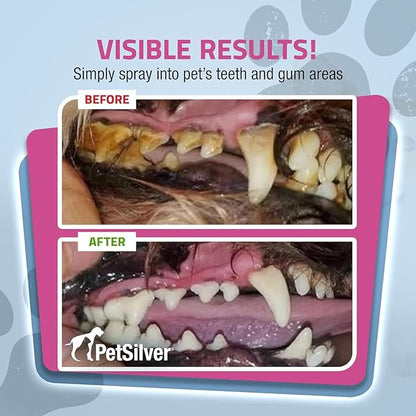 PetSilver Teeth &amp; Gum Spray - Dog Dental &amp; Teeth Cleaning Spray for Plaque &amp; Tartar Build-Up Reduction - Natural Breath Freshener for Dogs &amp; Cats - Patented Chelated Silver - Made in USA - 4oz, 2-Pack