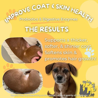 Dog &amp; Cat Probiotics, Prebiotics, &amp; Digestive Enzymes – Flavorless Powder for Gut Health, Allergies, Itchy Skin, Gas &amp; Diarrhea – Organic, Vet-Approved – 65g Bottle (Up to 65 Servings)