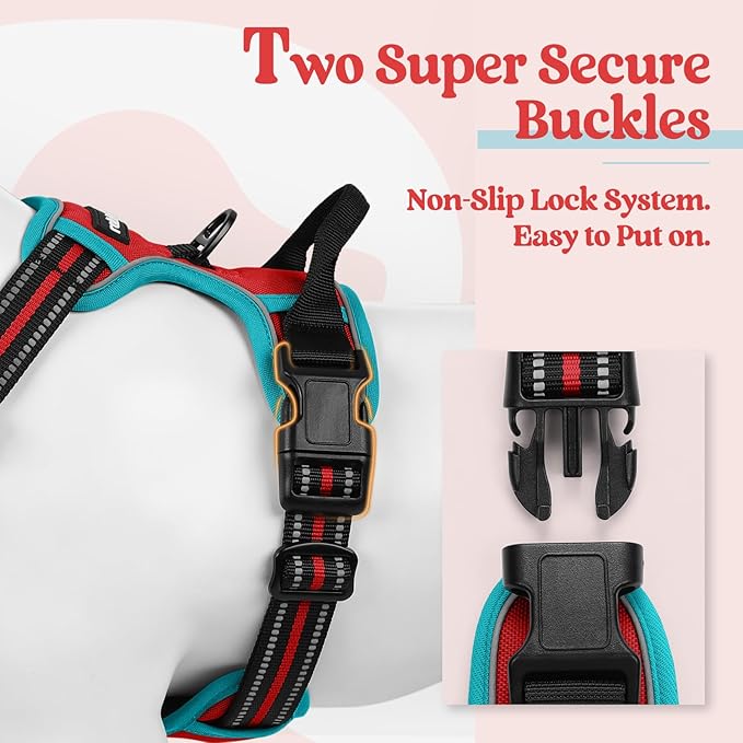 rabbitgoo Dog Harness No Pull with 2 Leash Clips, Adjustable Soft Padded, Reflective Oxford No Choke Pet Vest with Easy Control Handle for Small Dogs, Red &amp; Teal, S