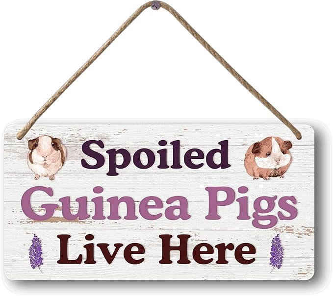 Big Hamster Ball &amp; Guinea Pig Hideout - Stuffed Animals &amp; Accessories for Guinea Pig Cage - 12x6 In Wooden Sign