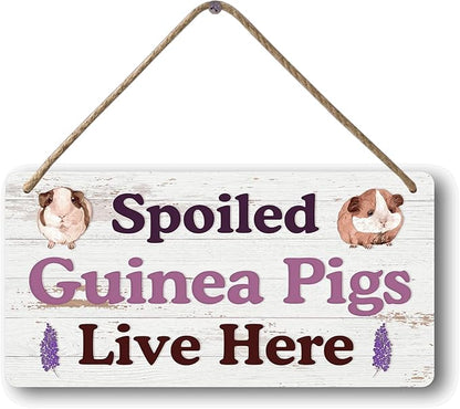 Big Hamster Ball &amp; Guinea Pig Hideout - Stuffed Animals &amp; Accessories for Guinea Pig Cage - 12x6 In Wooden Sign