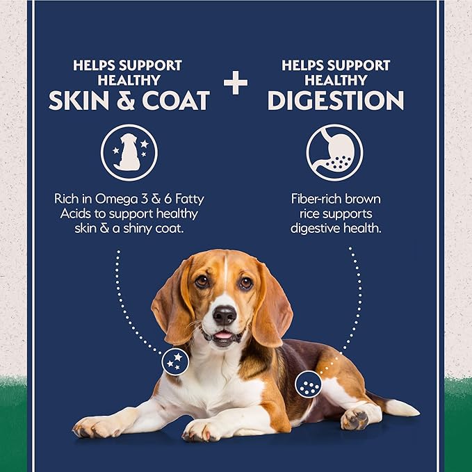 Natural Balance Limited Ingredient Adult Dry Dog Food with Healthy Grains, Lamb &amp; Brown Rice Recipe, 24 Pound (Pack of 1)
