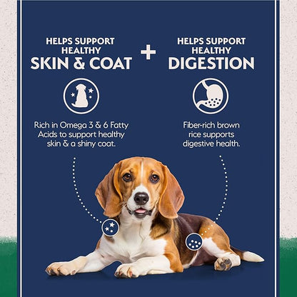 Natural Balance Limited Ingredient Adult Dry Dog Food with Healthy Grains, Lamb &amp; Brown Rice Recipe, 12 Pound (Pack of 1)