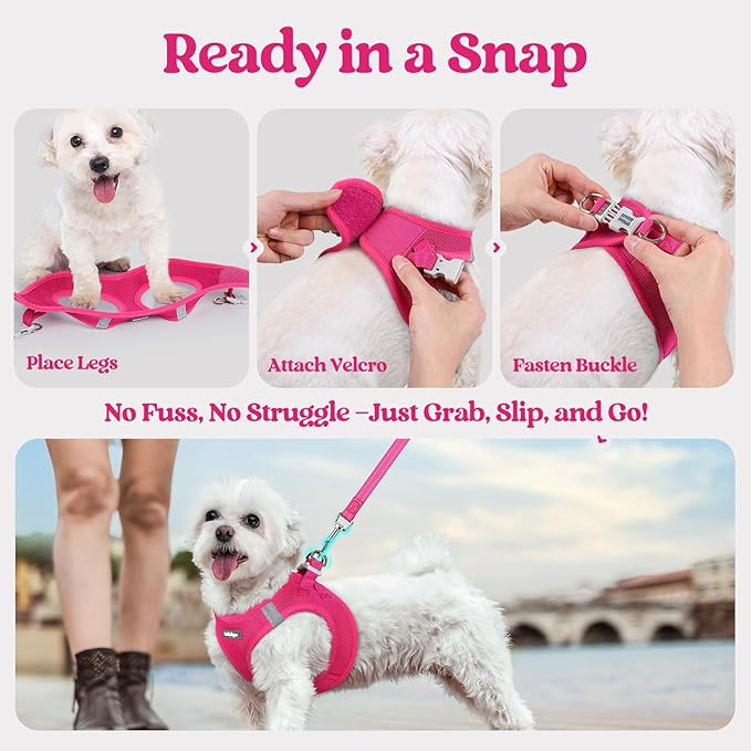 rabbitgoo Dog Harness Small Medium Sized and Leash Set, Step in Soft Light Puppy Vest, Breathable Mesh Pet Harness, Reflective for Safe Easy Walking, Rosa Red XL